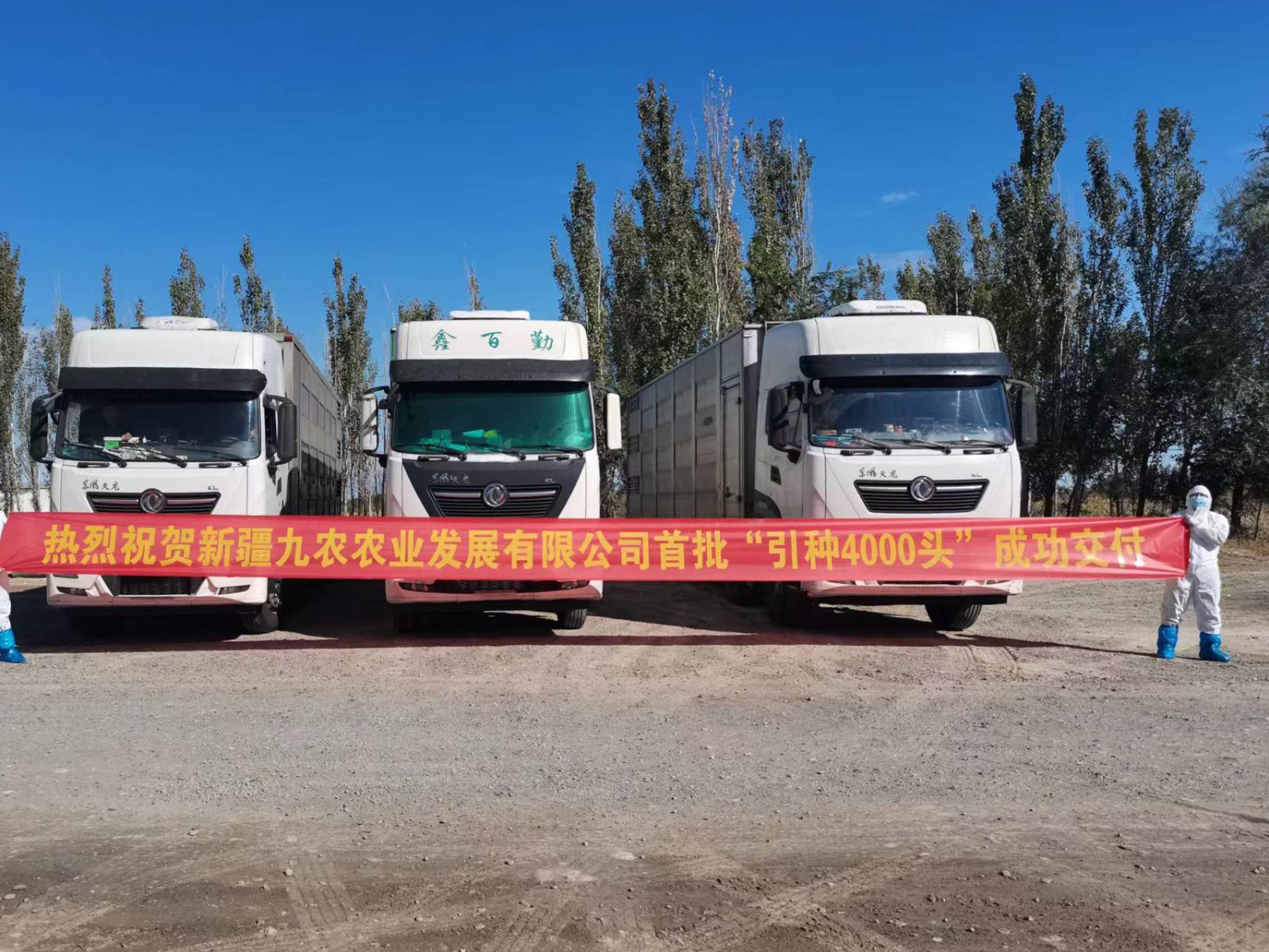 3baee7989921b8099d613690bb2a44e8 3baee7989921b8099d613690bb2a44e8